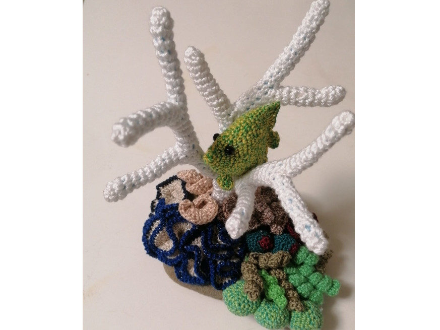 Api Generose Mortora