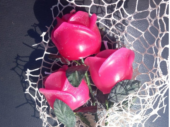 Api Generose Mortora