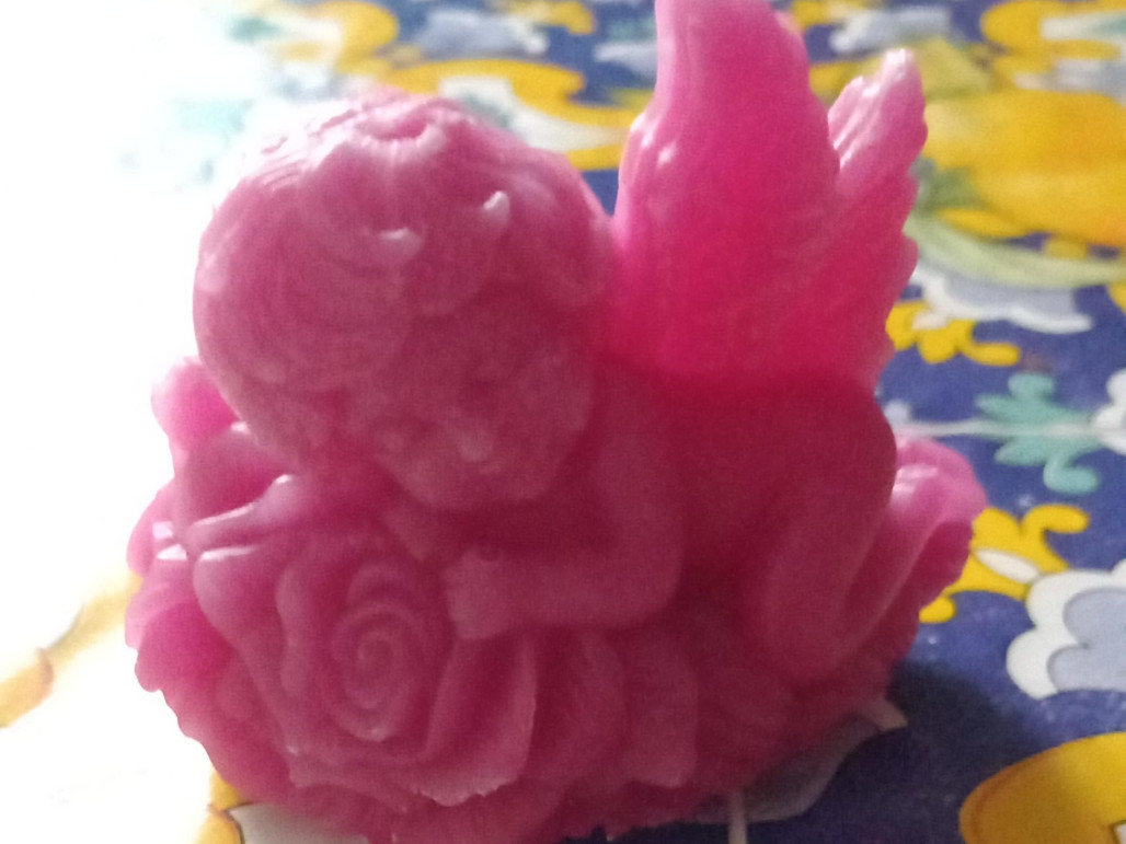 Api Generose Mortora