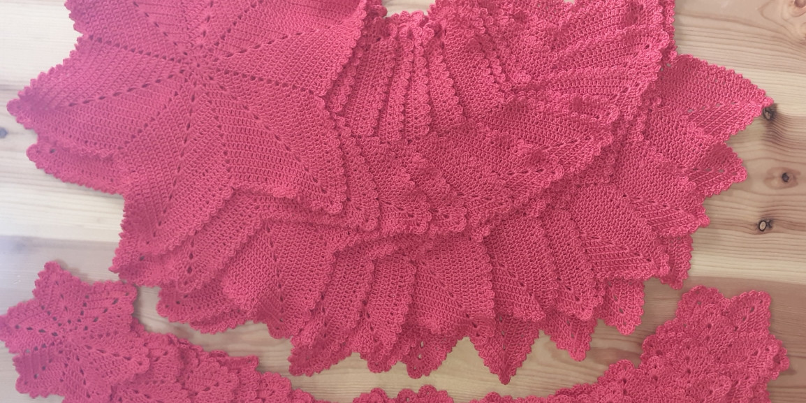 Api Generose Mortora